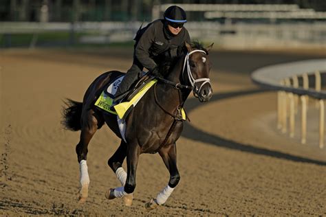 belmont stakes picks analysis|2024 Belmont Stakes Picks & Best Bets .